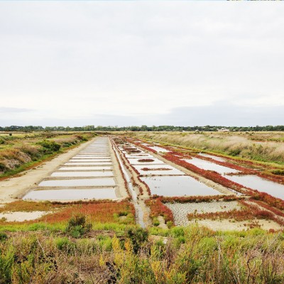 Marais salant