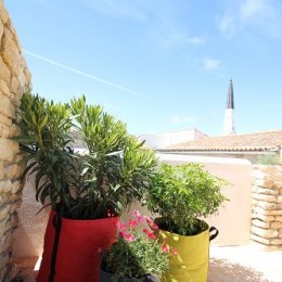 Laurier Rose et oranger du mexique sur la terrasse