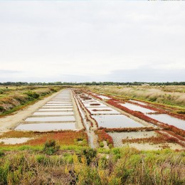 Marais salant